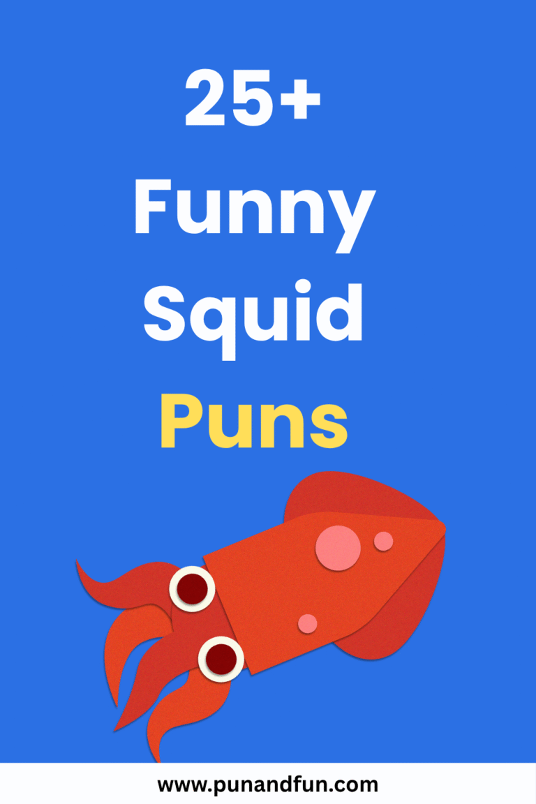 25+ Funny Squid Puns