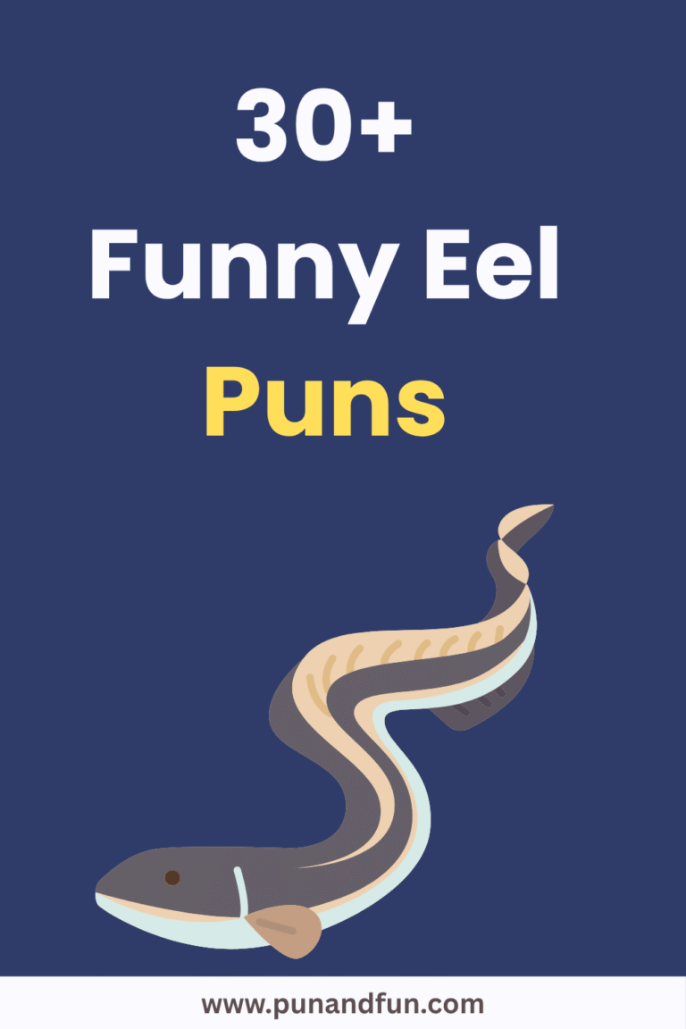 30+ Funny Eel Puns
