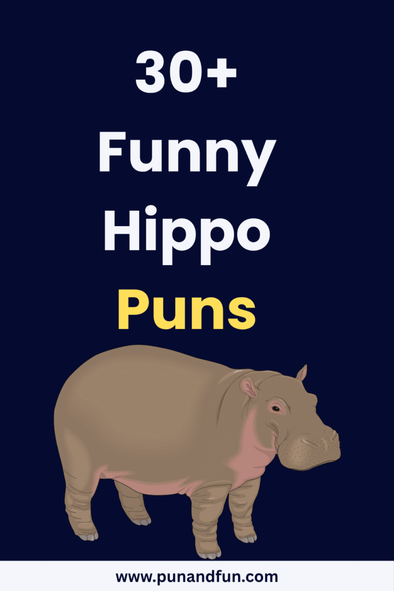 30+ Funny Hippo Puns