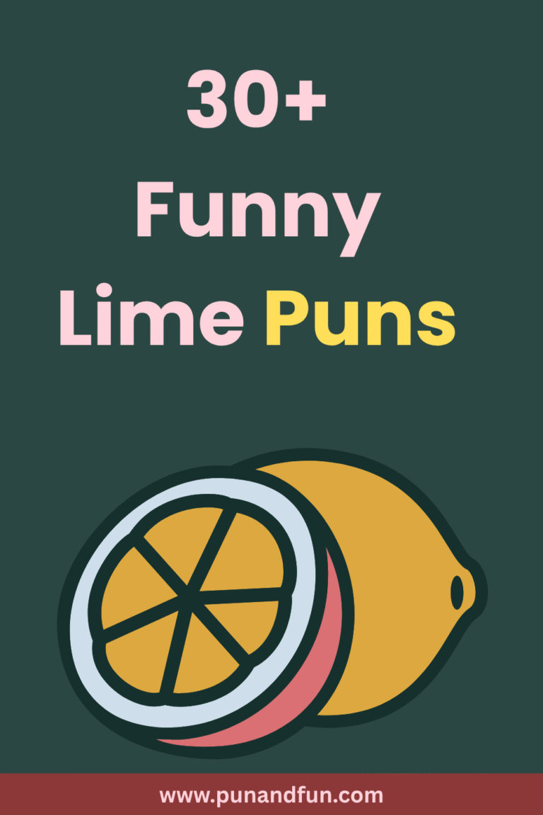 30+ Funny Lime Puns