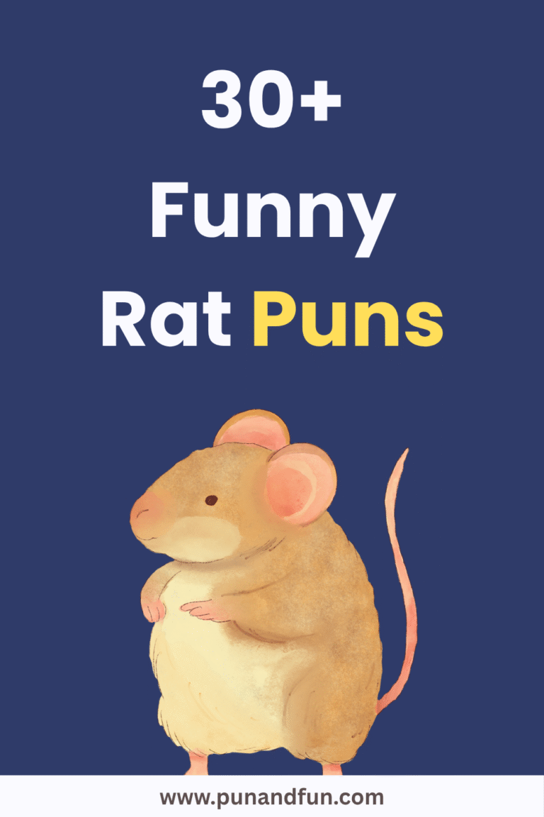 30+ Funny Rat Puns