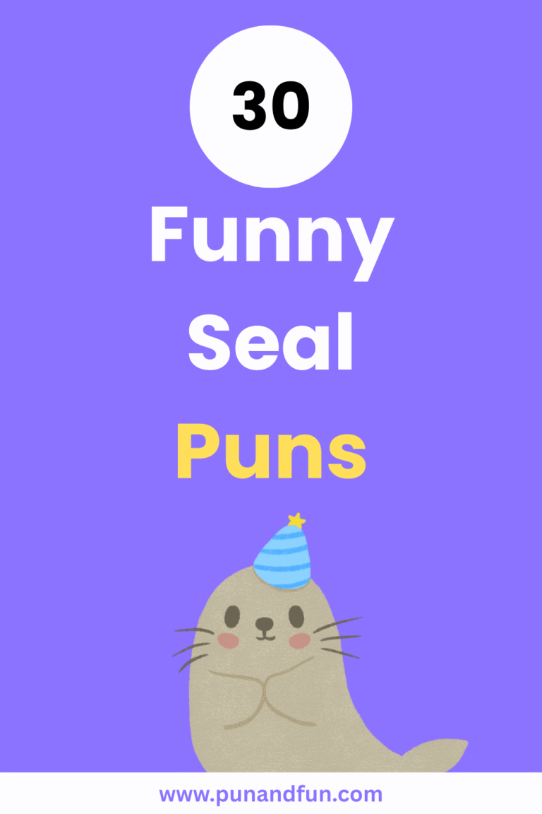 30 Funny Seal Puns