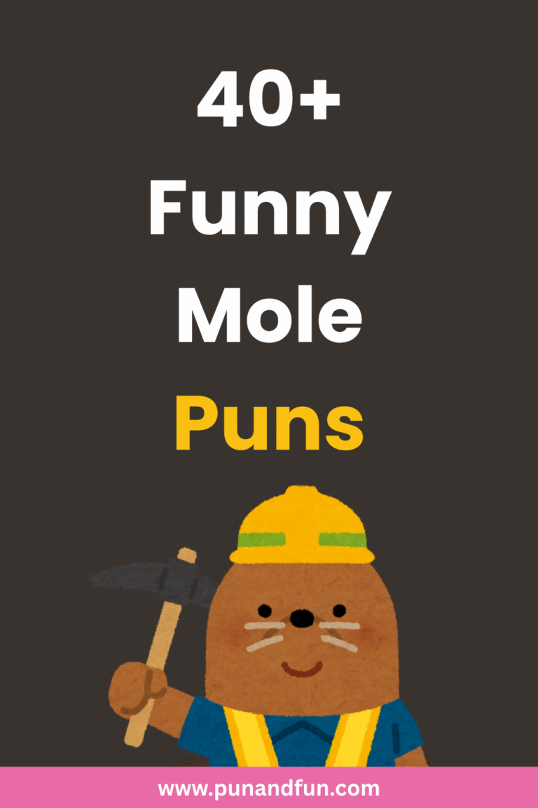 40+ Funny Mole Puns