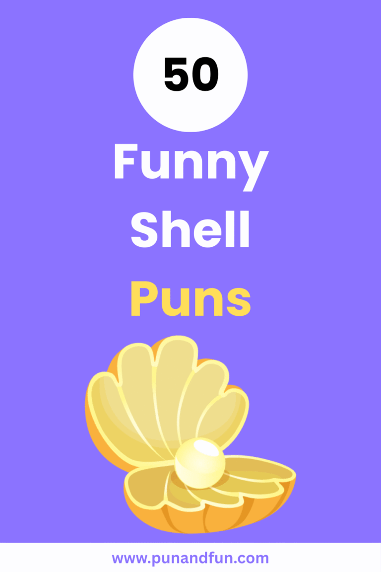 50 Funny Shell Puns